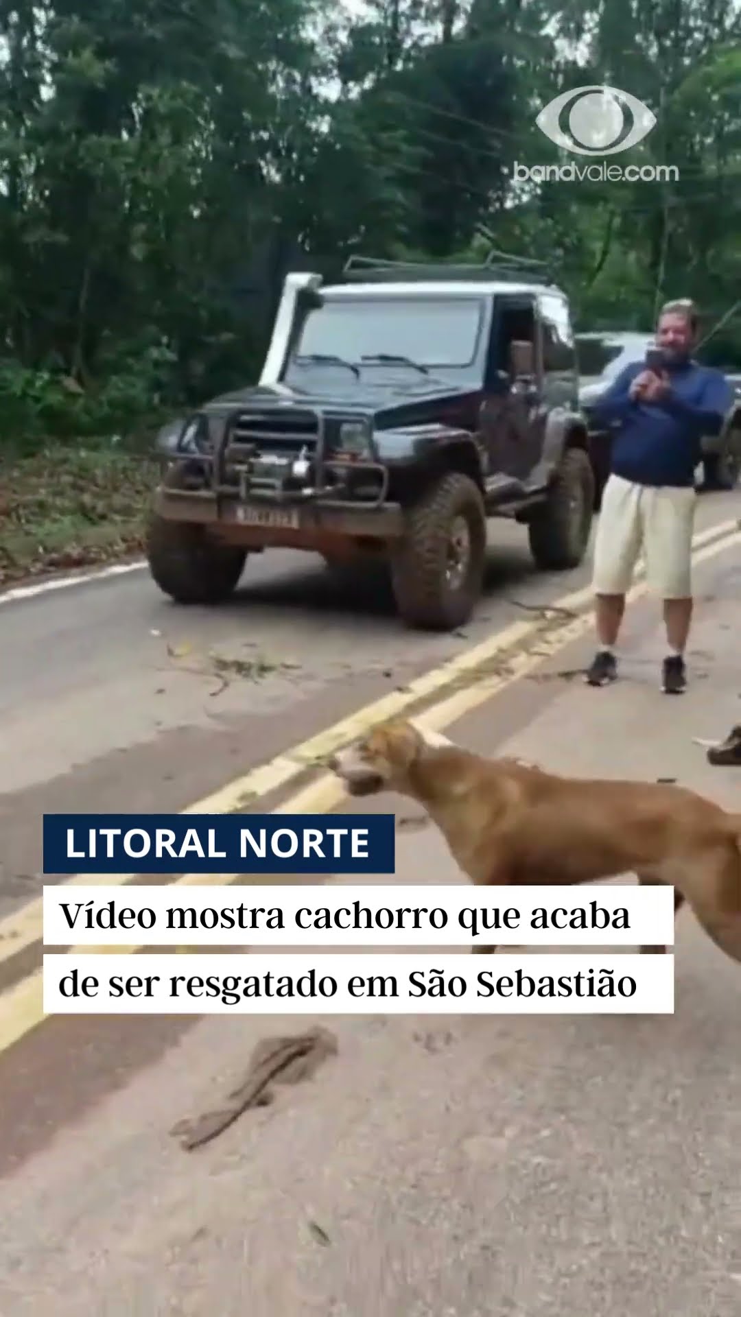 Cachorro é resgatado após ser levado por correnteza em São Sebastião